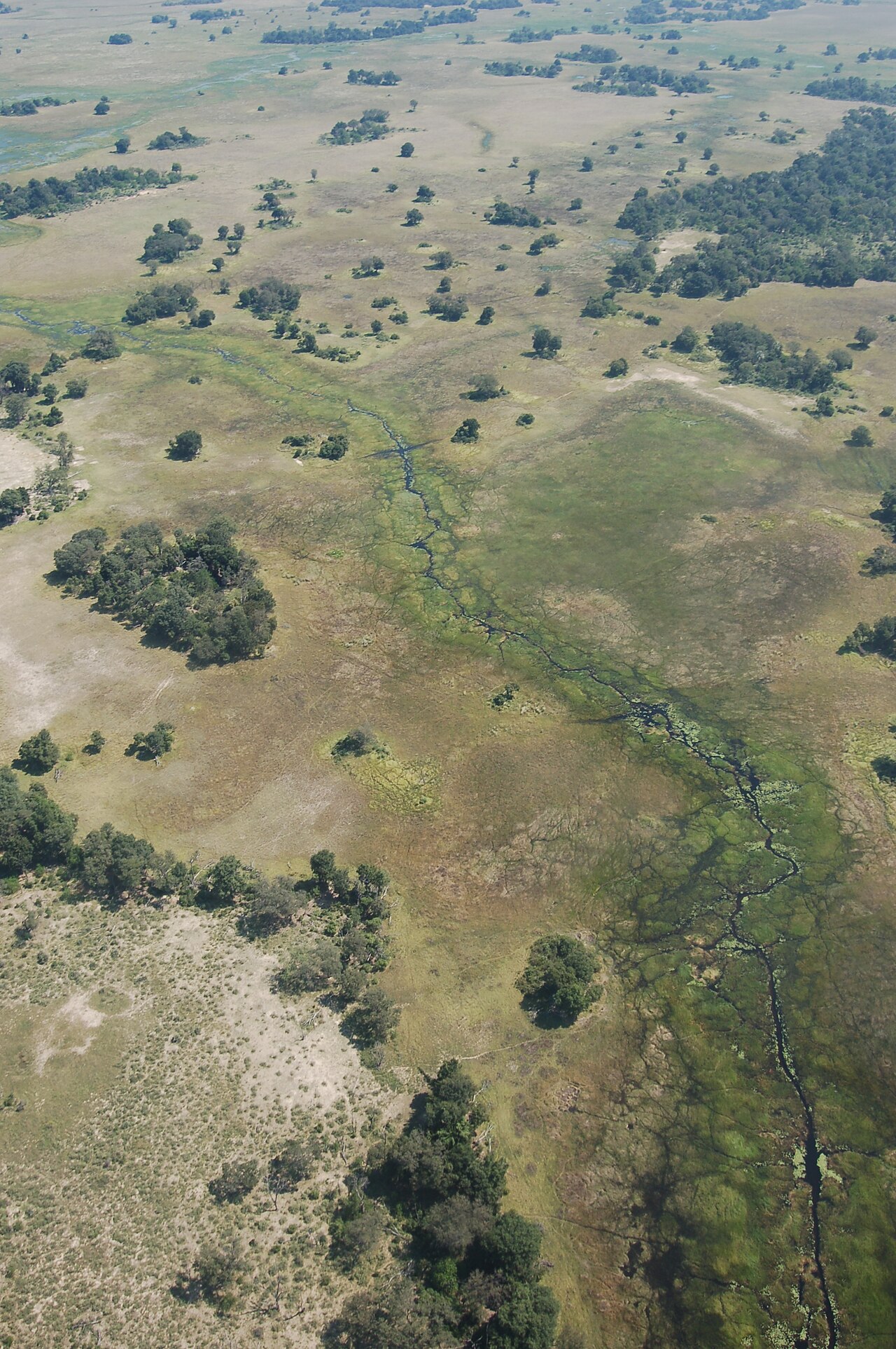 Okavango Delta, Botswana2