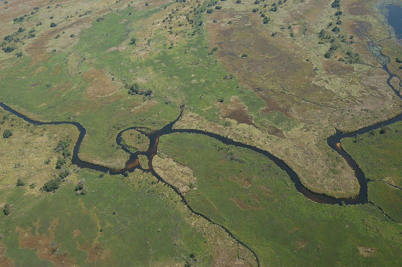 Okavango Delta, Botswana1